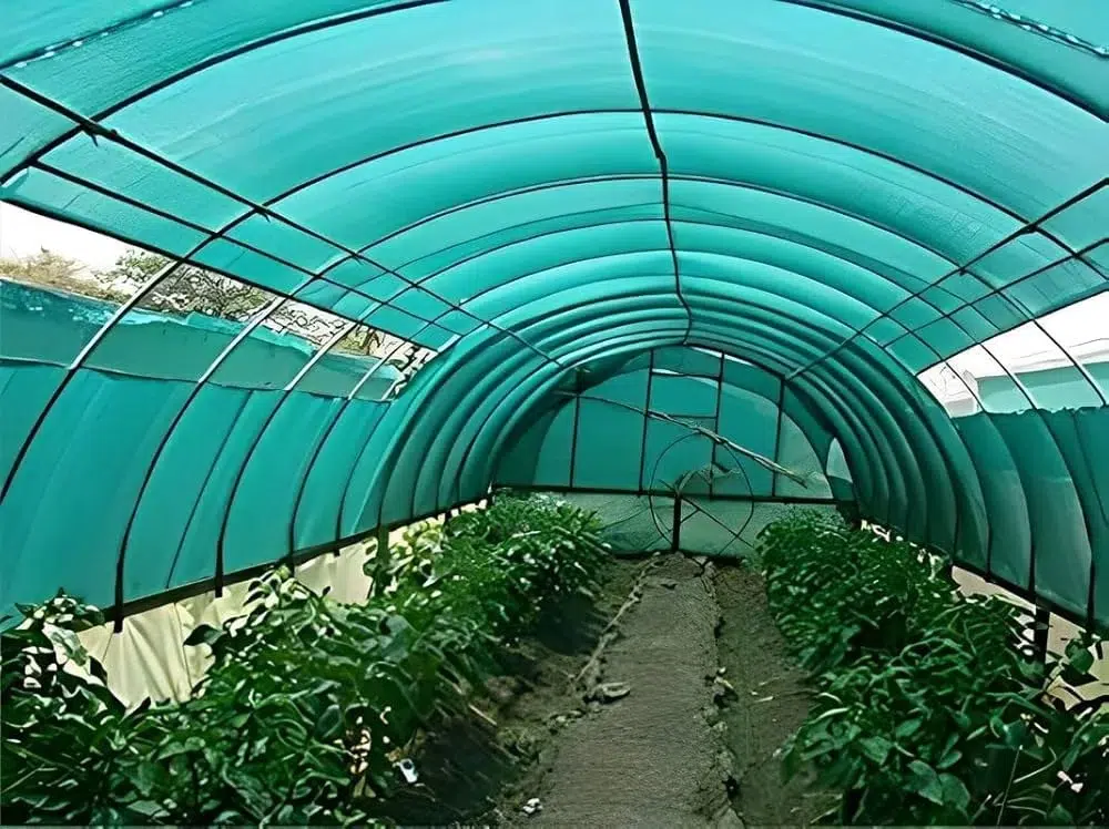 HDPE Korea Net